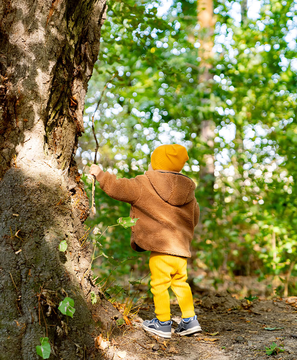 Fragen zum Tagesablauf
